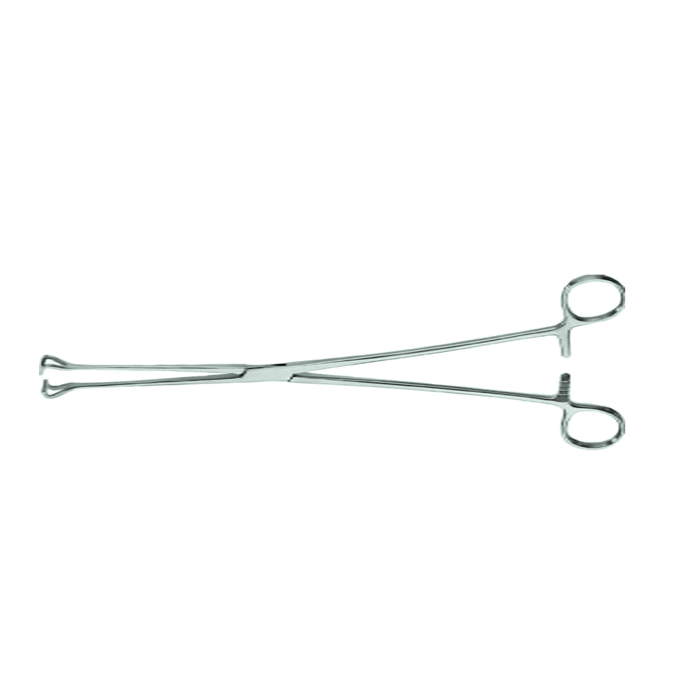 BABCOCK-Tissue-Holding-Forceps-1.jpg