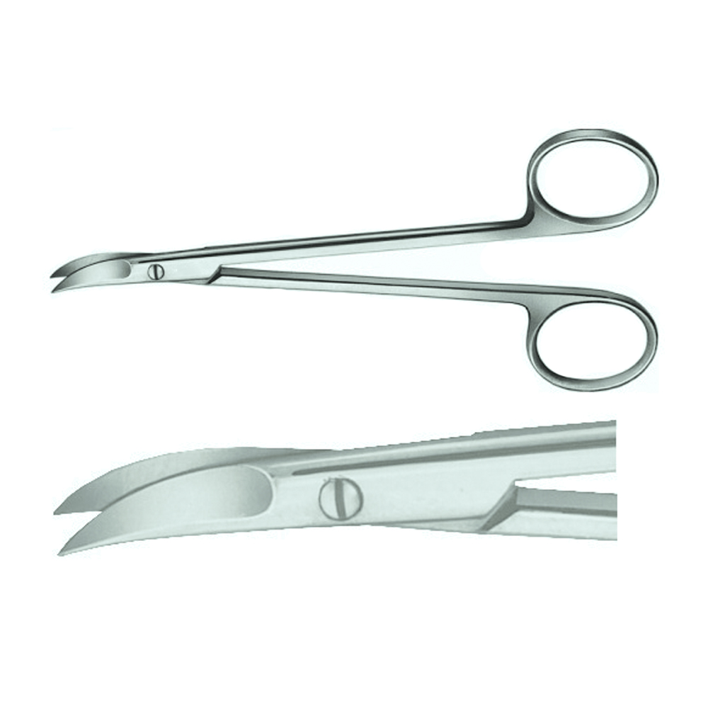 CHADWICK-Scissors-Delicate-1.jpg